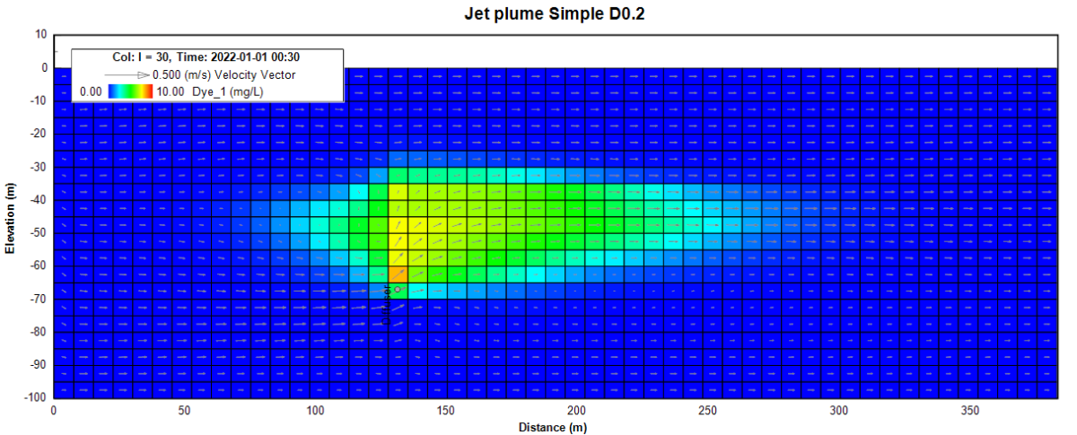 Plumes & Cases - DSI